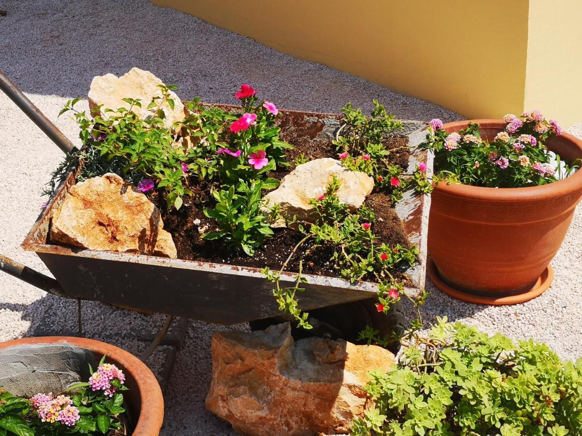 Atena Zaton Daire Nin Dış mekan fotoğraf